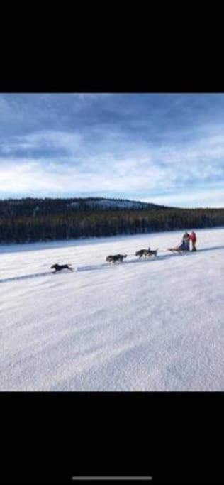 Northern Light Huts - Paradise Lapland Kiruna Exterior foto